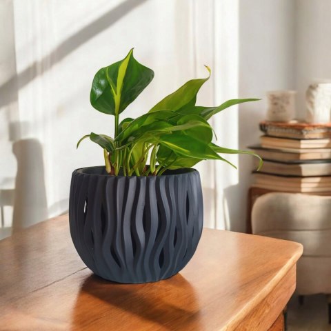 Philodendron Scandens Brasil Filodendron Brazylijski Złote Serce Philodendron Scandens Brasil Filodendron Brazylijski Złote Serce