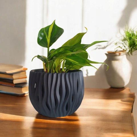 Philodendron Scandens Brasil Filodendron Brazylijski Złote Serce Philodendron Scandens Brasil Filodendron Brazylijski Złote Serce