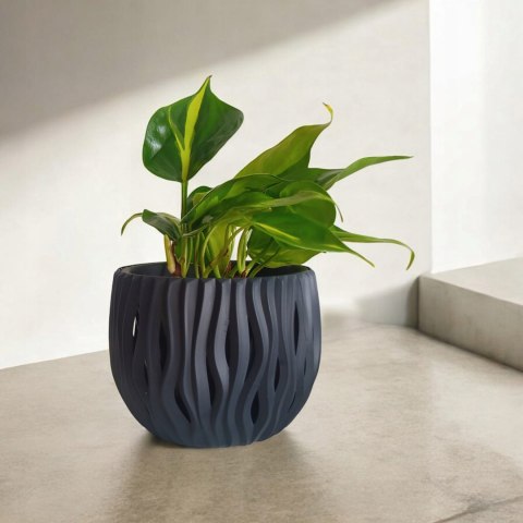 Philodendron Scandens Brasil Filodendron Brazylijski Złote Serce Philodendron Scandens Brasil Filodendron Brazylijski Złote Serce