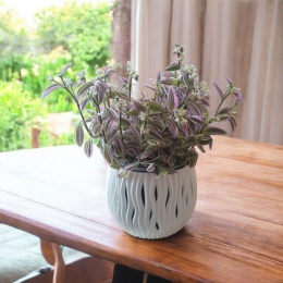 Trzykrotka zebra Tradescantia zebrina Duża w zwisajacej doniczce srebrna