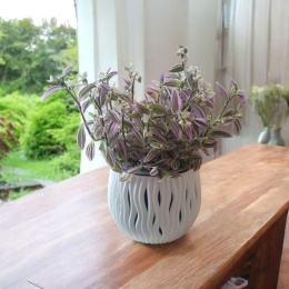 Trzykrotka zebra Tradescantia zebrina Duża w zwisajacej doniczce srebrna